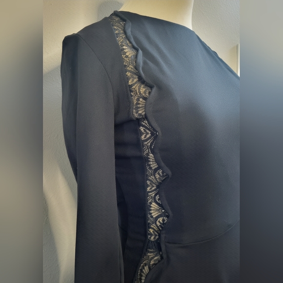 David Lerner Skater Dress - Picture 2 of 4